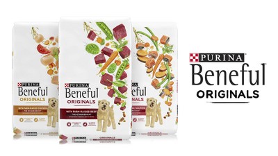 Purina Beneful With Real Chicken Healthy Puppy Dry Dog Food - 14lbs : Target