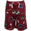 Harry Potter Gryffindor Slytherin Hufflepuff Graphic T-Shirt and French Terry Shorts Outfit Set Little Kid to Big Kid - 3 of 4