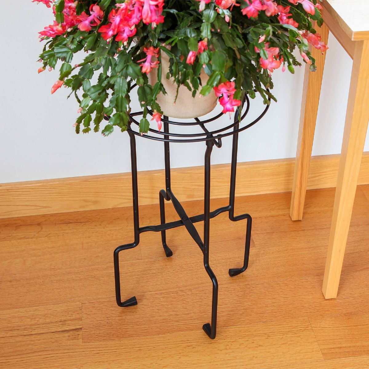 23.5" Plant Stand Catalina Black Wrought Iron with Powder Coated Finish - ACHLA Designs: Freestanding, No Assembly Required - thumbnail 6