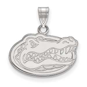 Black Bow Jewelry 10k White Gold Florida Gators NCAA Small Pendant - 1 of 3