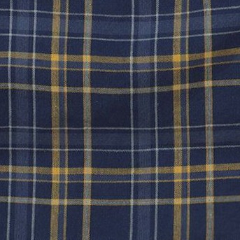 navy plaid