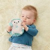 Fisher-Price Calming Vibes Hedgehog Soother - image 3 of 4