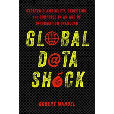 Global Data Shock - by  Robert Mandel (Paperback)