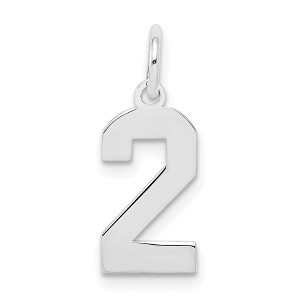 Black Bow Jewelry Sterling Silver, Athletic Collection, Small Polished Number 2 Pendant - 1 of 4