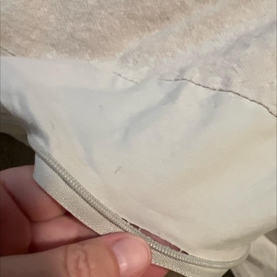 Guest review image 1 of 1, zoom in