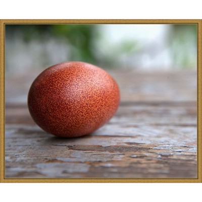 Amanti Art Egg on Wood by Tania Soderman Framed Canvas Wall Art