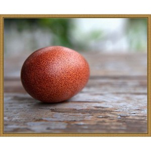 Amanti Art Egg on Wood by Tania Soderman Framed Canvas Wall Art - 1 of 4