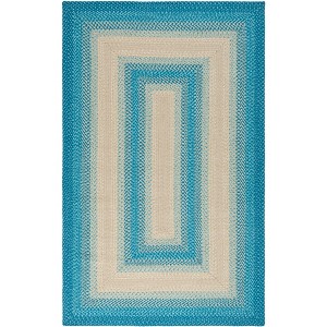 Braided BRD311 Machine Washable UV & Stain Resistant Non-Shedding Hand Woven Indoor/Outdoor Rugs - Safavieh - 1 of 4