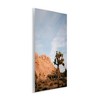 Stupell Industries Joshua Tree & Canyon Wall Plaque Art - 2 of 4