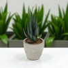 Unique Bargains Artificial Plants Mini Aloe-Vera in Pulp 2.76"x2.76"x5.51" 1 Pc - 2 of 4