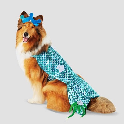 dog clothes target