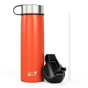 Costway 22 oz Double Wall Insulated Water Bottle Stainless Steel w/ 2 Lids & Straw - 1 of 4