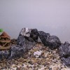 Unique Bargains Coral Reef Decor, Mini Faux Coral Decor for Aquarium Decorations, 1.5"x0.91" - 2 of 4