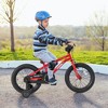Costway 14/16/18-Inch Kid’s Bike for 4-7 Years Old with Adjustable Saddle & Anti-slip Handlebar Silver/Red/Pink/Black - 2 of 4