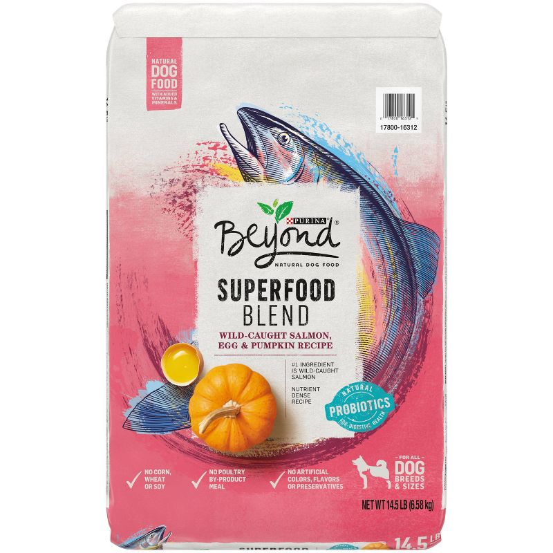 Purina Beyond Superfood Blend Salmon, Egg &#38; Pumpkin Recipe Dry Dog Food - 14.5lbs, 1 of 9