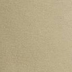 Light Olive Green