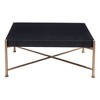 HomeRoots 42" Black and Gold Solid Wood and Steel Square Coffee Table - 4 of 4