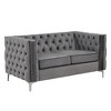 Modern 61 in.  Deep Dutch Velvet 2-Seater Loveseat with Iron Legs - Morden Fort - 3 of 4