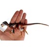 Beasts of the Mesozoic: Eotyrannus Lengi - 1/18th Scale Dinosaur Action Figure - 4 of 4
