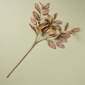 Rusted Eucalyptus Fall Stem - Hearth & Hand™ with Magnolia - 1 of 3