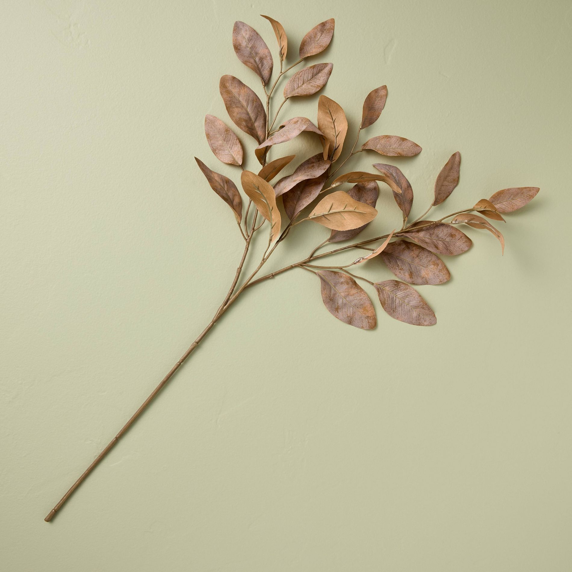 Rusted Eucalyptus Fall Stem - Hearth & Hand™ with Magnolia
