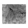 Trademark Fine Art Kurt Shaffer Love and Gratitude Wood Slat Art - 3 of 4