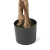 GlasFlength Artificial Plants Artificial Rubber Tree Artificial Ficus Tree Faux Plants for Indoor Home Decor, Green, 31.5"*31.5"*70.9" - 3 of 4