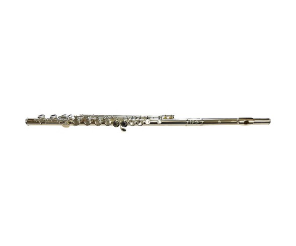 Di Zhao DZ 200 Student Flute Offset G C-Foot