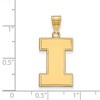 Black Bow Jewelry 10k Yellow Gold Illinois Fighting Illini NCAA Large Pendant - 2 of 3