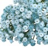 Unique Bargains Wedding Decoration Small Babys Breath Artificial Flowers 8.3" 6 Pcs - 3 of 4