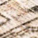 lime green, terracotta, charcoal, pale blue, orange, sage, mustard, blue, dusty pink