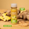 Vive Organic Pure Boost Ginger Shot - 2 fl oz - 3 of 4