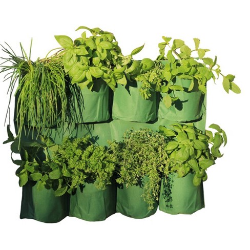 Tierra Garden Herb Wall Planter : Target