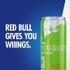 Red Bull Green Edition Energy Drink - 12 fl oz Can - 4 of 4