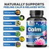 All Natural Stress Relief & Anti Anxiety Supplement Complex With Ashwagandha - 120 Capsules By Nature's Nutrition - 3 of 4