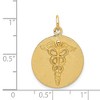 Black Bow Jewelry 14k Yellow Gold 20mm Caduceus Disk Pendant - 4 of 4