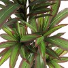 Artificial Dragon Tree in Pot - Tropical Fake Plant Decor for Living Room, Balcony, Bedroom, Office - 2 of 4