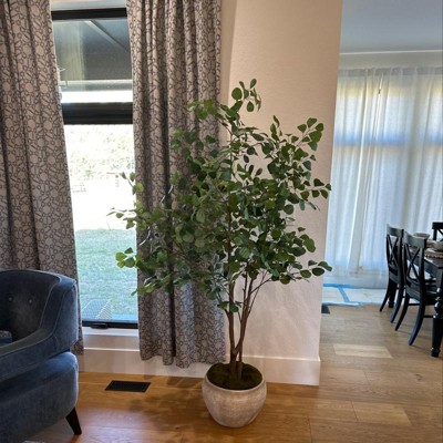 Guest review image 1 of 1, zoom in