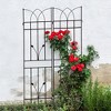 Osparple Plant Support Stakes for Indoor Plants Plant Climbing Support Anti-Rust Garden Trellis Metal for Garden - 2 of 4