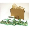 Van Zyverden Set of 100 Daffodils Bulbs Pink Mixture - 3 of 3