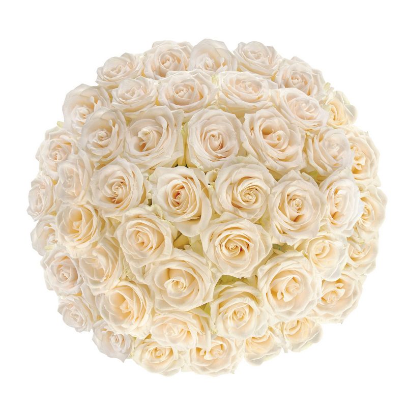 Fresh Cut 50-stem White Roses, 1 of 8