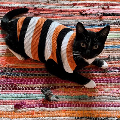 Halloween cat clearance sweater