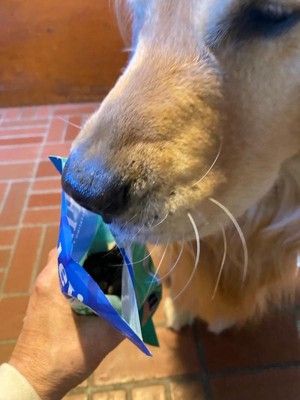 Guest review image 2 of 2, zoom in