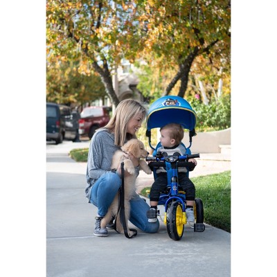 paw patrol trike target