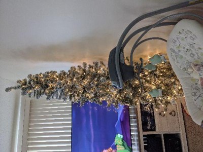 Guest review image 1 of 1, zoom in