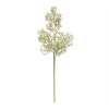 Baby Breath Stem (Set of 4) - 2 of 2