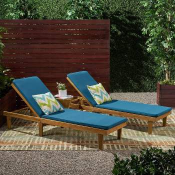 Nadine 2pk Chaise Lounge Patio Set - Christopher Knight Home