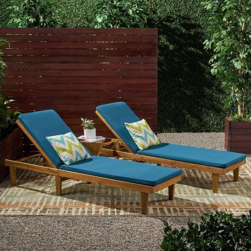 Nadine 2pk Chaise Lounge Patio Set - Christopher Knight Home, 1 of 6