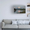 Trademark Fine Art - David Drost  Mountains of Wyoming I Canvas Art - 2 of 4