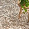 Nourison Concerto Center Medallion Indoor Area Rug - 4 of 4